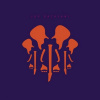 Joe Satriani The Elephants Of Mars