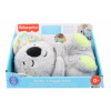 Fisher Price LIGHTENING KOALA WITH BABIES