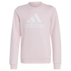Sweatshirt adidas Big Logo Swt Jr IC6119 (117090) Black 164 cm