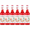 Sirup Monin 700 ml Orange Spritz