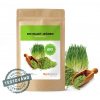 BIO MLADÝ JEČMEN V PRÁŠKU 200 g - MYCOMEDICA