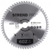 Strend Pro pílový kotúč TCT 250x3.0x30/20 mm 60T na drevo SK plátkami