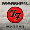 Foo Fighters - Greatest Hits / Vinyl / 2LP [2 LP]