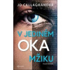V jediném okamžiku - Jo Callaghan
