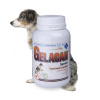 Orling Gelacan Senior 150 g