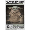 Mandalorian - plagát dieťaťa (Wanted the Child)