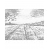 ZUTY Bodkovanie - LEVANDUĽOVÉ POLE V PROVENCE Rámovanie: vypnuté plátno na rám, Rozmer: 80x100 cm