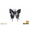 zooted Motýľ tropický Papilio vidlochvost čierno-šedivý 6 cm