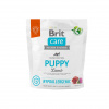 Brit Care Dog Hypoallergenic Puppy - lamb and rice, 1kg