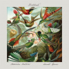 Koščová Katarína,Špiner Daniel - Krehkosť [CD]