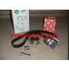 Audi A3 9/00-5/03 komplet rozvody Sada 1,9TDi / 74kw / INA /