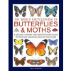 Butterflies & Moths, The World Encyclopedia of