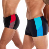 Badehose Speedo Dive Sports Tech Logo Aquashort pánske športové plavky/boxerky čierno-červená 5