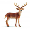 Schleich 14818 lesné zvieratko jeleň bielochvostý samec