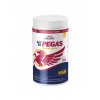 Vitar Veterinae ArtiVit Pegas MSM 720 g