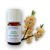 ARTTEC prírodný vonný olej Laurel 10 ml NAT00046