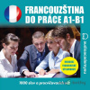 Francouzština do práce A1-B1 - Tomáš Dvořáček - online doručenie