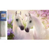 Norimpex Diamantové maľovanie Zamilované kone 40x30cm