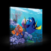 Obraz na plátne štvorec - OB2122 - Hľadá sa Nemo 80cm x 80cm - O2