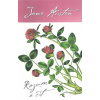 Rozum a cit - Jane Austen