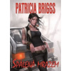 Spálená mrazem - Briggs Patricia