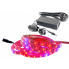 Osvetlenie pre rastliny - SET LED pásik 300 GROW IP65 rast rastlín 3m (Osvetlenie pre rastliny - SET LED pásik 300 GROW IP65 rast rastlín 3m)