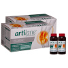 Artilane ARTILANE® – komplexná kĺbová výživa s kolagénom a kyselinou hyalurónovou - DVOJBALENIE
