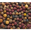 MIVARDI Vnadící boilies Rapid Multi mix 10kg