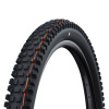 SCHWALBE Plášť ALBERT GRAVITY PRO (63-622) 29x2.50 Evolution 67EPI Radial 1330g Čierny TLR