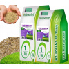 Rolmarket trávna zmes 80 m² 2 kg (UNIVERZÁLNA tráva, rýchlo zahusťujúca 2kg PRE POLSKÝ ZÁHRADNÝ TRÁVNIK)