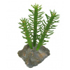 Lucky Reptile Sukulenty Cactus 3x, cca 15 cm