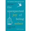 The Unexpected Joy of Being Sober - Catherine Gray, Aster