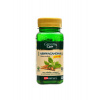 VitaHarmony Ashwagandha 450mg 80 kapslí