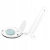 Kozmetická lampa - Kozmetická stolná lampa Activ AC123737 100 W viacfarebná (LAPA LAMP ELEGTE 6027 60 LED SMD 5D pre dosku)