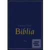 Biblia, 2. vydanie (Gustav Doré)