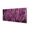 Nástenný panel poľné vresy 100x50 cm
