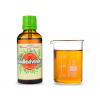 Nadledvinky - bylinné kapky (tinktura) 50 ml - doplněk stravy