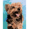 Zuty Diamantové maľovanie VESELÝ YORKSHIRE 40x50 cm vypnuté plátno na rám