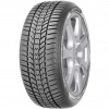 Sava 205/60R16 96H, Sava, ESKIMO HP2