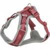 FlexMesh Premium postroj, široký strih, sangria M: 58-80 cm/20 mm