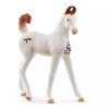 Schleich Horsa Club: Kôň Marwari - figúrka 14896