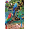 EUROGRAPHICS Puzzle Save Our Planet: Papagáje Ara XL 250 dielikov