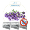 AK AV 8 LEVANDULA