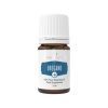 Young living Esenciálny olej Eukalyptus Radiata 15 ml