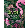 Život - Jennifer N. R. Smith