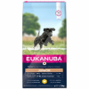 Eukanuba Junior Large Breed 15kg