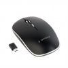 GEMBIRD myš MUSW-4BSC-01, bezdrátová, USB Type-C receiver, černá MUSW-4BSC-01