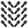 Skrutka Carbonado M14x1.50 kužeľová, kľúč 17 30 mm 16 ks