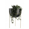 Záhradný kvetináč - Kvetina -Gold Black 43 cm podkrovie (Stojan na kvety zlato čierny 43 cm LOFT)