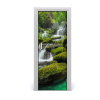 Fototapeta na dvere samolepiace vodopád džungle 75x205